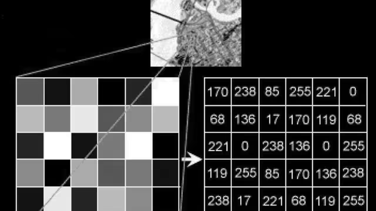 bitmap-color-invert-test